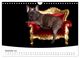 Thumbnail-14