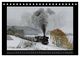 Thumbnail-14