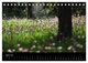Thumbnail-9