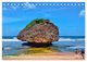 Thumbnail-8
