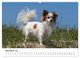 Thumbnail-11