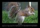Thumbnail-11