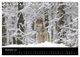 Thumbnail-14