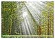 Thumbnail-11