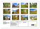 Thumbnail-12