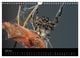 Thumbnail-11
