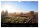 Thumbnail-8