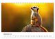 Thumbnail-14