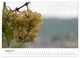 Thumbnail-10
