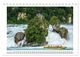 Thumbnail-11