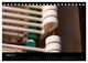 Thumbnail-13