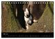 Thumbnail-10