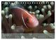 Thumbnail-13