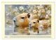 Thumbnail-11