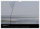 Thumbnail-14