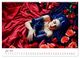 Thumbnail-12