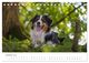 Thumbnail-12