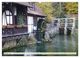 Thumbnail-12