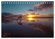 Thumbnail-14