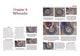 Thumbnail-16