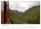 Thumbnail-14