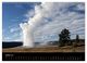 Thumbnail-12