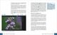 Thumbnail-12