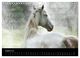 Thumbnail-13