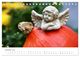 Thumbnail-12