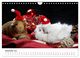 Thumbnail-14