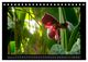 Thumbnail-14