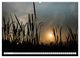 Thumbnail-12