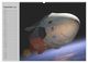 Thumbnail-13