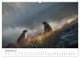 Thumbnail-9