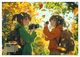 Thumbnail-12