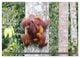 Thumbnail-14