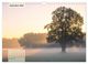 Thumbnail-14