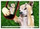 Thumbnail-10