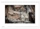 Thumbnail-11