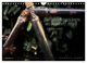 Thumbnail-14