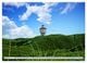 Thumbnail-8