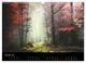 Thumbnail-4