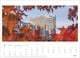 Thumbnail-11