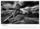 Thumbnail-12
