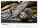 Thumbnail-14