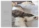 Thumbnail-13