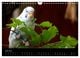Thumbnail-11