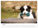 Thumbnail-12