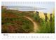 Thumbnail-10