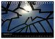 Thumbnail-14